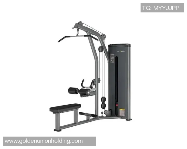 体育健身器材维护指南如何延长器材使用寿命与提升健身效果